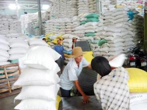 lo lắng với giá gạo xuất khẩu