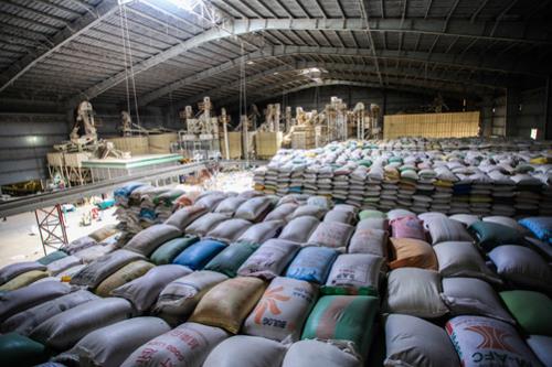 Đề xuất phương án “cởi trói” cho kinh doanh xuất khẩu gạo