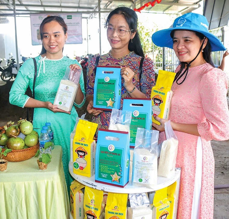 gieo mua xanh thu hat gao lanh 3